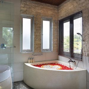 Suite Pool View